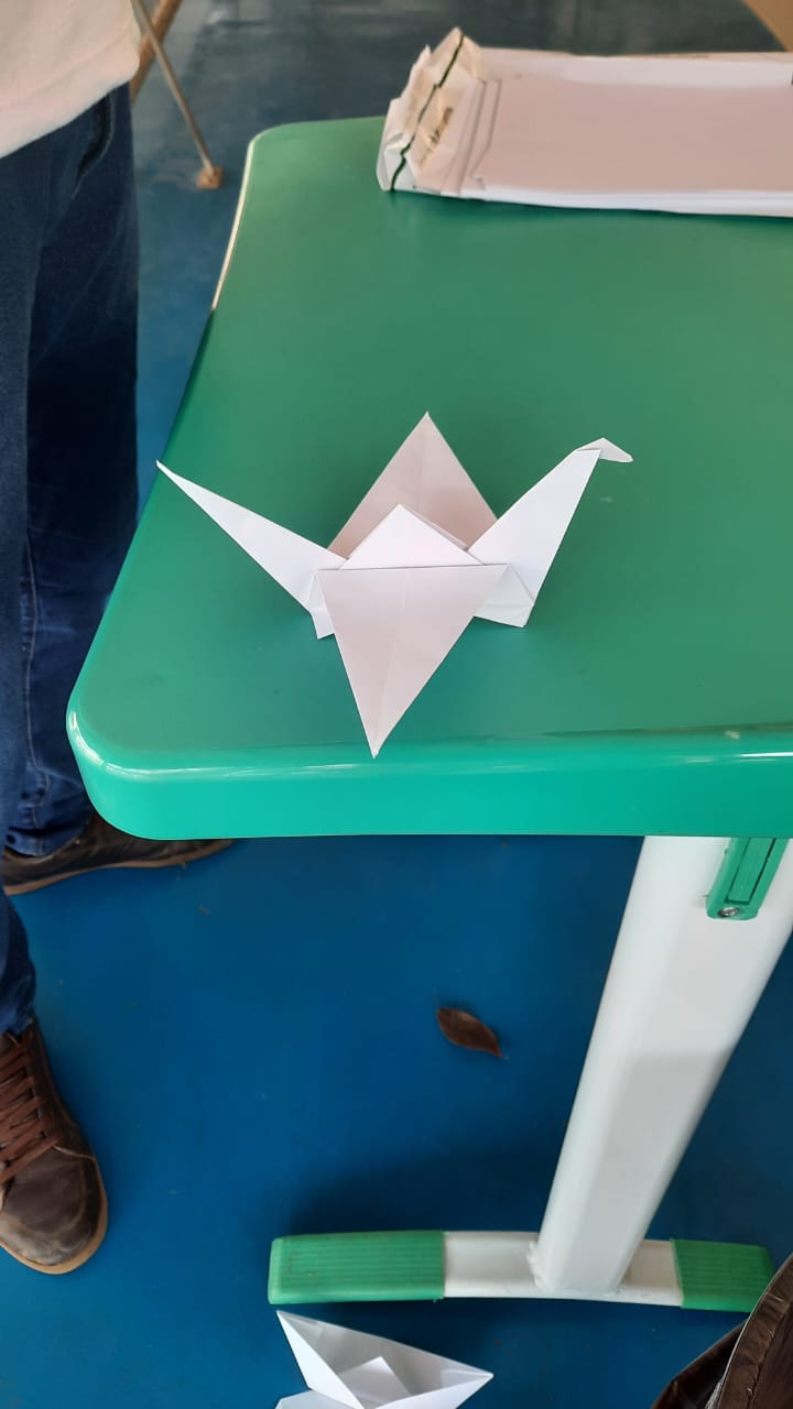 Rodrigo origami4