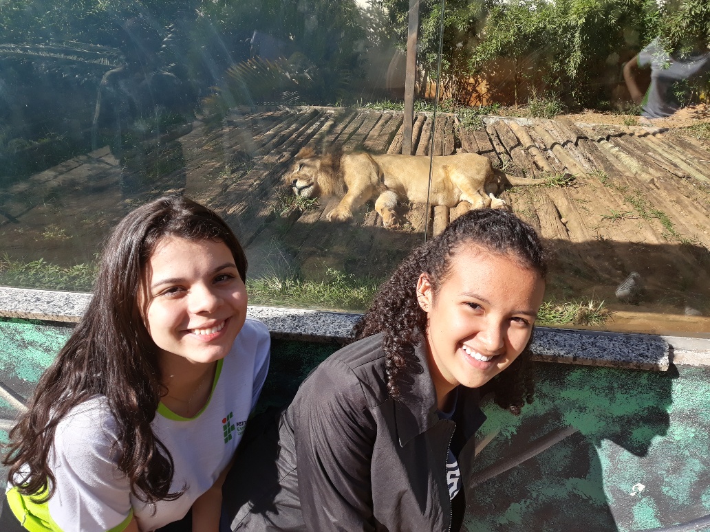 visita zoo 4